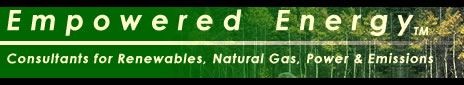 Empowered Energy Logo 2